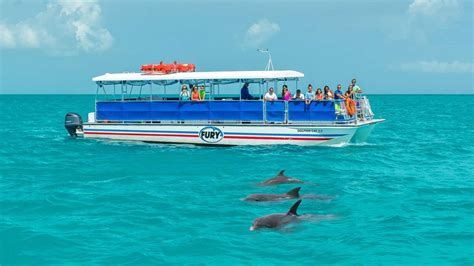 fury dolphin tour key west florida